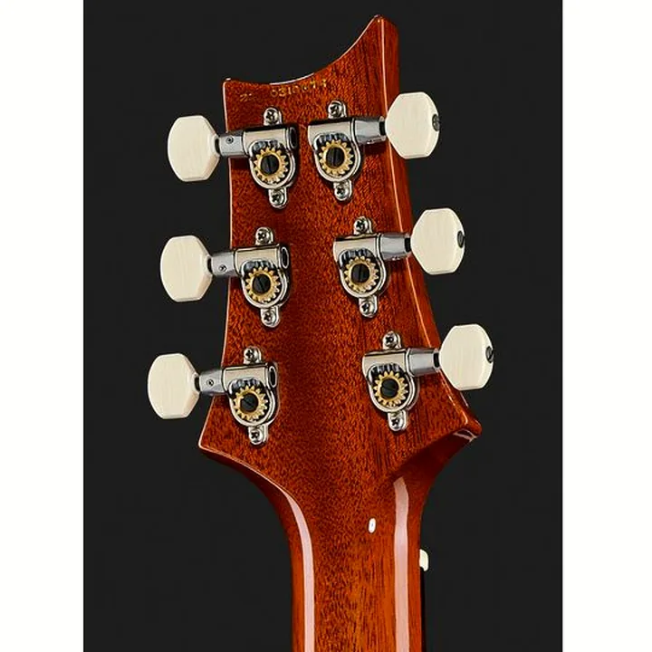 Guitare électrique PRS DGT Birds MS , Avis, Comparatif & Test