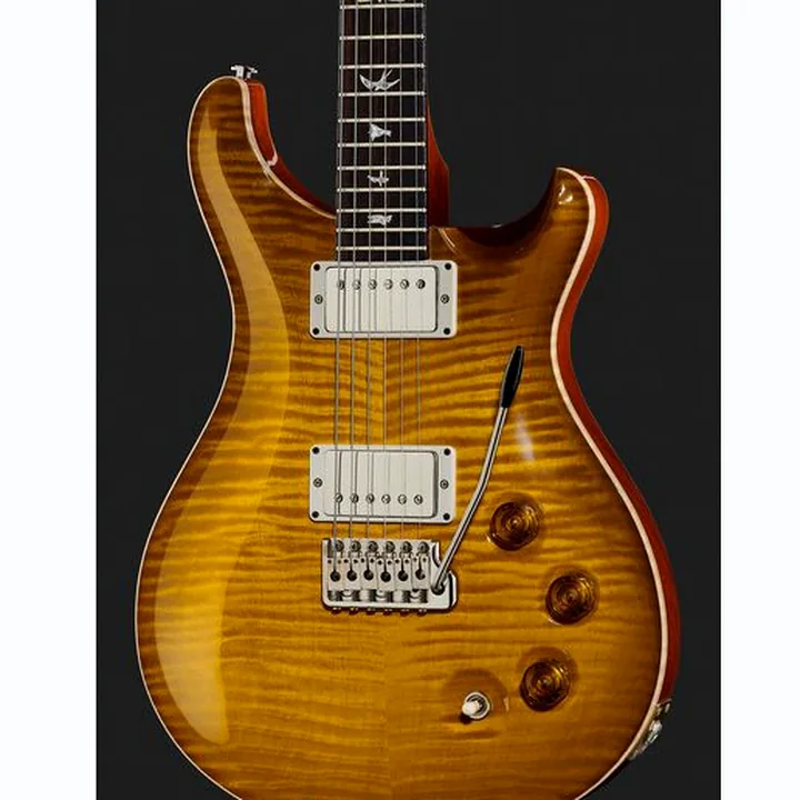 Guitare électrique PRS DGT Birds MS , Avis, Comparatif & Test