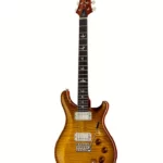 Guitare électrique PRS DGT Birds MS , Avis, Comparatif & Test
