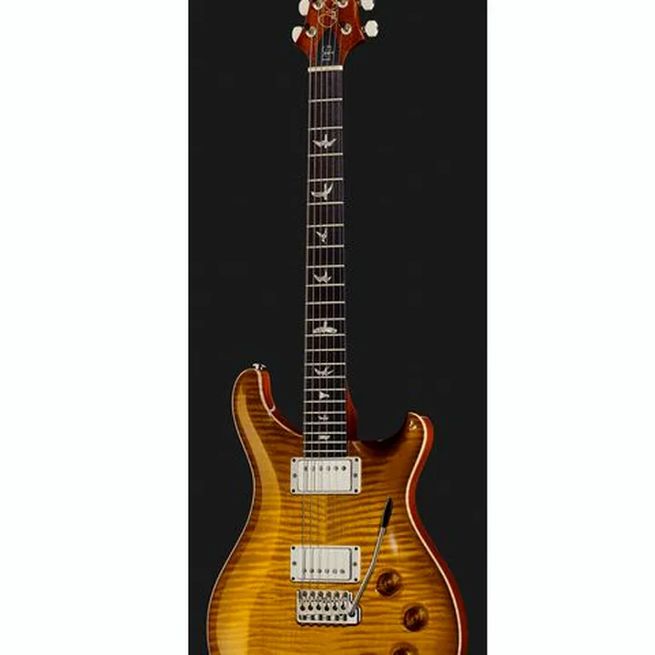 Guitare électrique PRS DGT Birds MS , Avis, Comparatif & Test