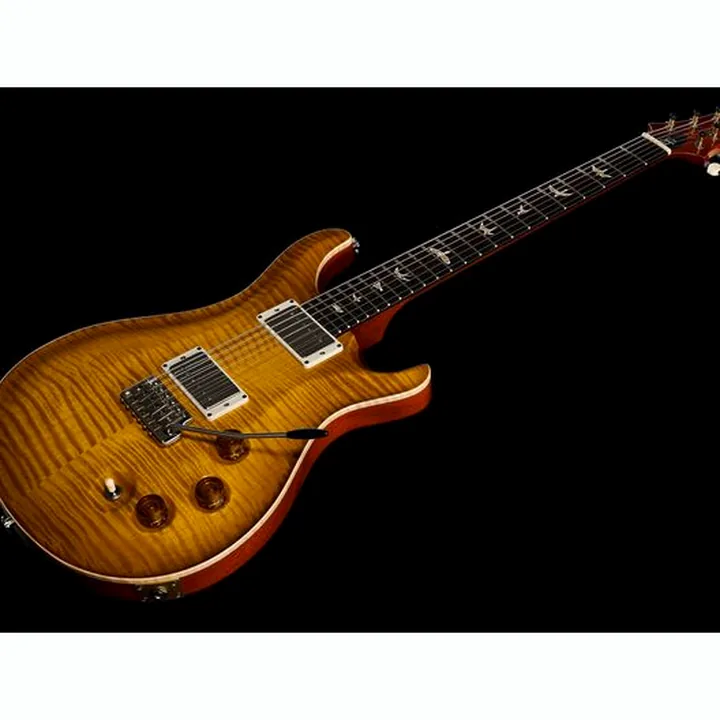 Guitare électrique PRS DGT Birds MS , Avis, Comparatif & Test
