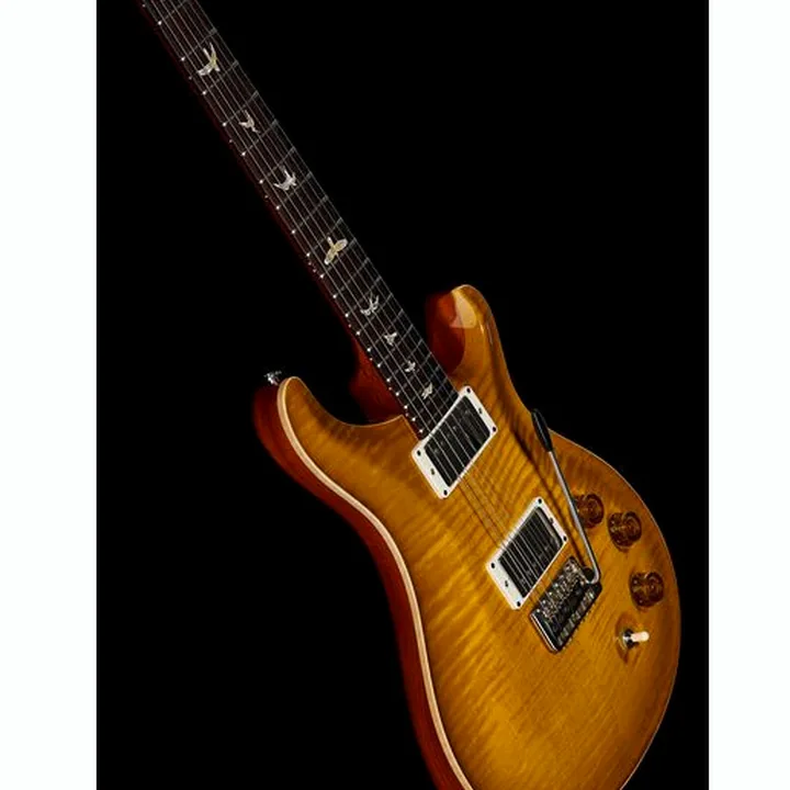 Guitare électrique PRS DGT Birds MS , Avis, Comparatif & Test