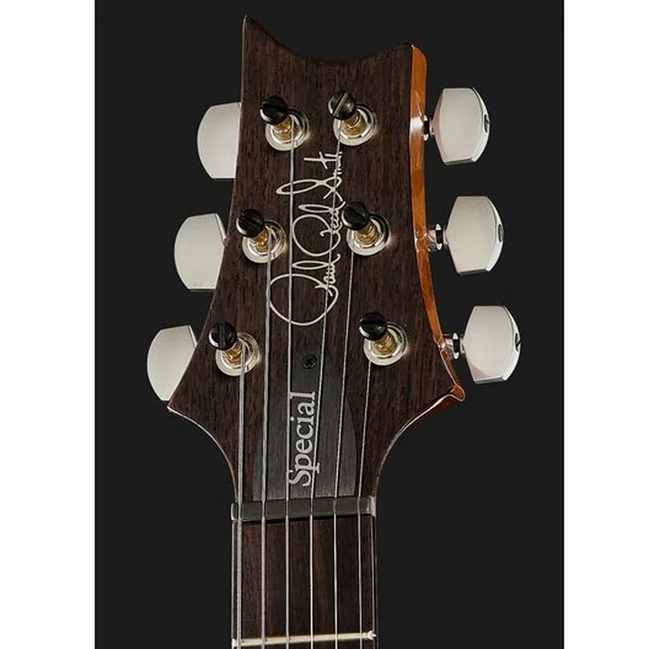 Guitare électrique PRS Special S/H 22 Eriza Verde , Avis, Test & Comparatif