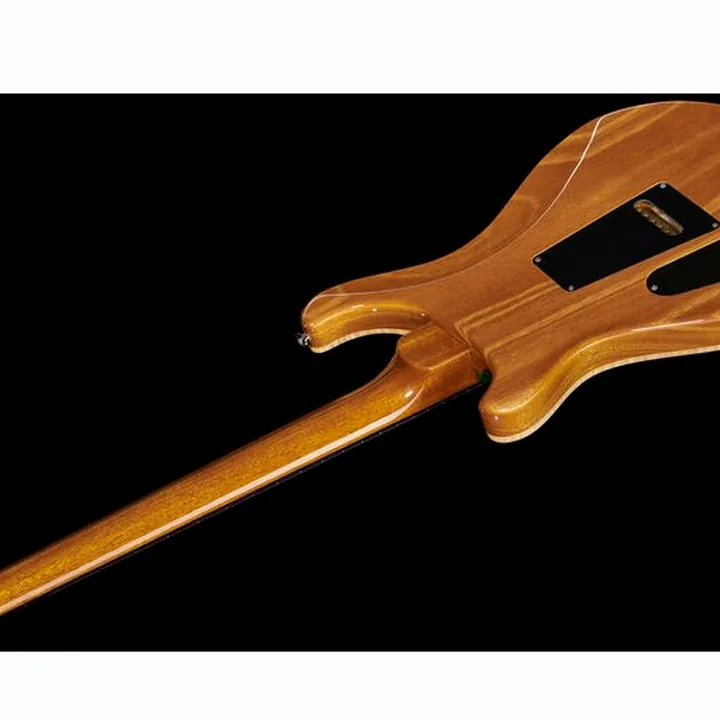Guitare électrique PRS Special S/H 22 Eriza Verde , Avis, Test & Comparatif
