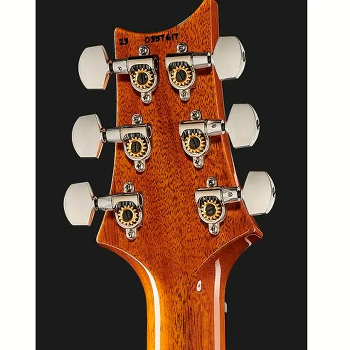 Guitare électrique PRS Special S/H 22 Eriza Verde , Avis, Test & Comparatif