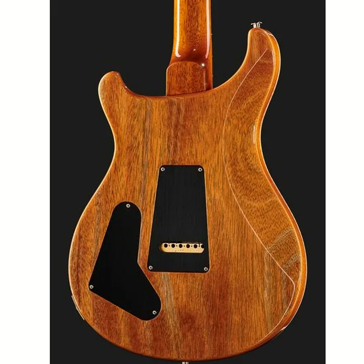 Guitare électrique PRS Special S/H 22 Eriza Verde , Avis, Test & Comparatif