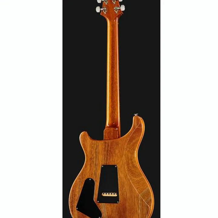 Guitare électrique PRS Special S/H 22 Eriza Verde , Avis, Test & Comparatif