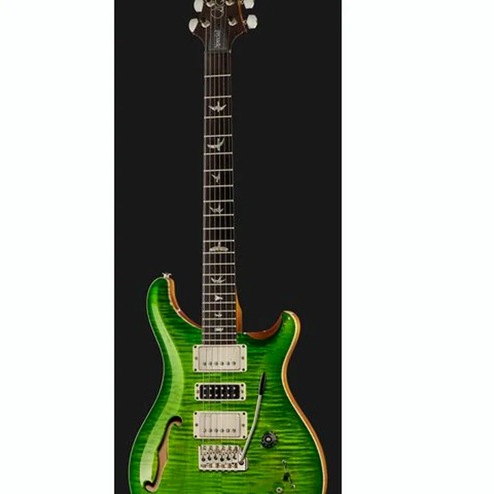 Guitare électrique PRS Special S/H 22 Eriza Verde , Avis, Test & Comparatif