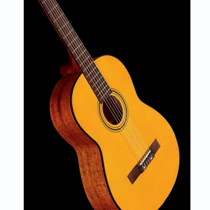 Guitare Fender ESC105 Educational 4/4 SN , Test, Avis, Comparatif