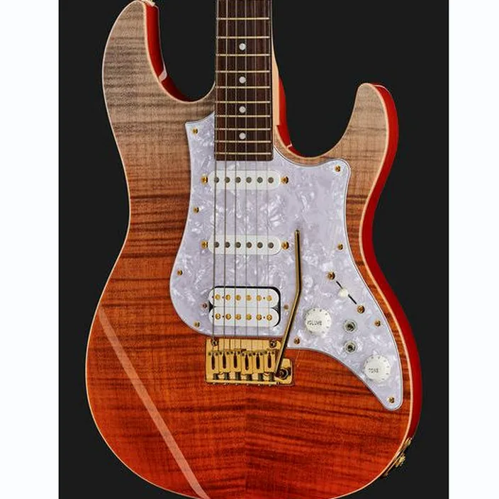Guitare FGN EOS FM R Expert Odyssey Avis, Test