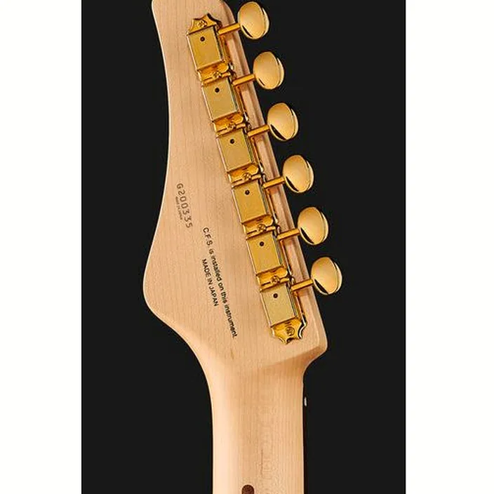 Guitare FGN EOS FM R Expert Odyssey Avis, Test
