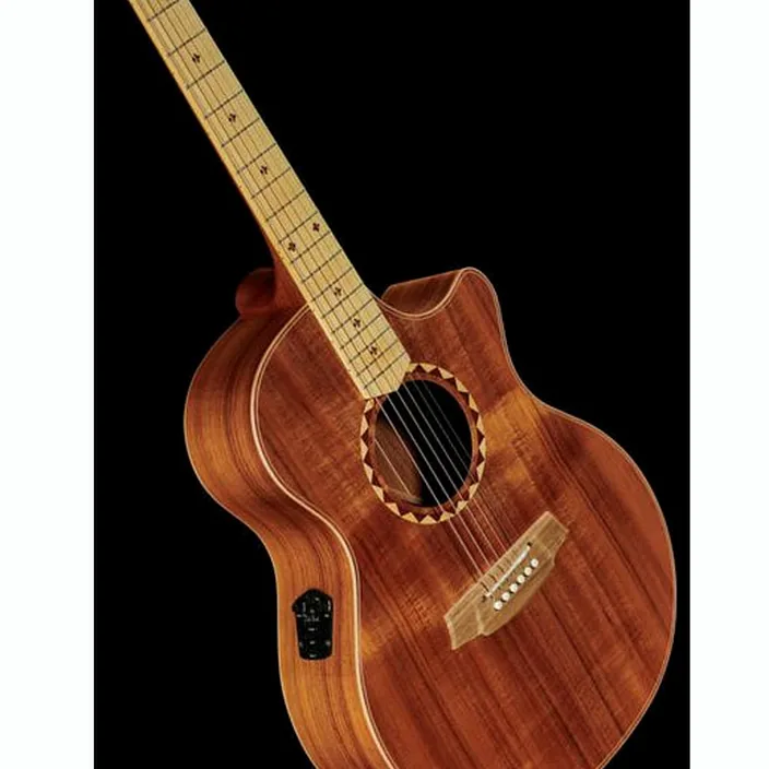 Guitare folk Cole Clark AN2EC-BLBL-SB Satin Box Fretb. - Avis, Test & Comparatif