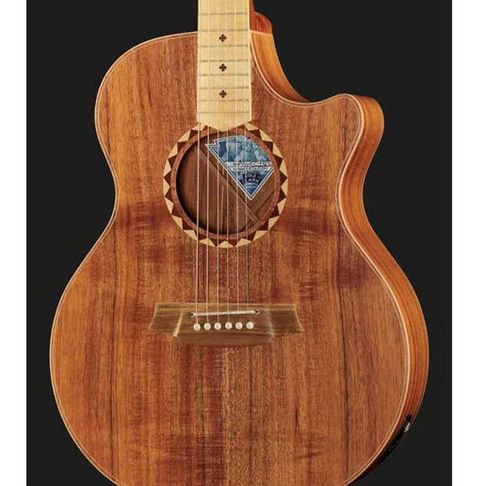 Guitare folk Cole Clark AN2EC-BLBL-SB Satin Box Fretb. - Avis, Test & Comparatif