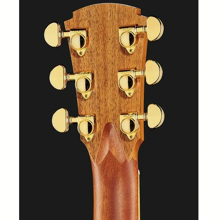 Guitare folk Cole Clark AN2EC-BLBL-SB Satin Box Fretb. - Avis, Test & Comparatif