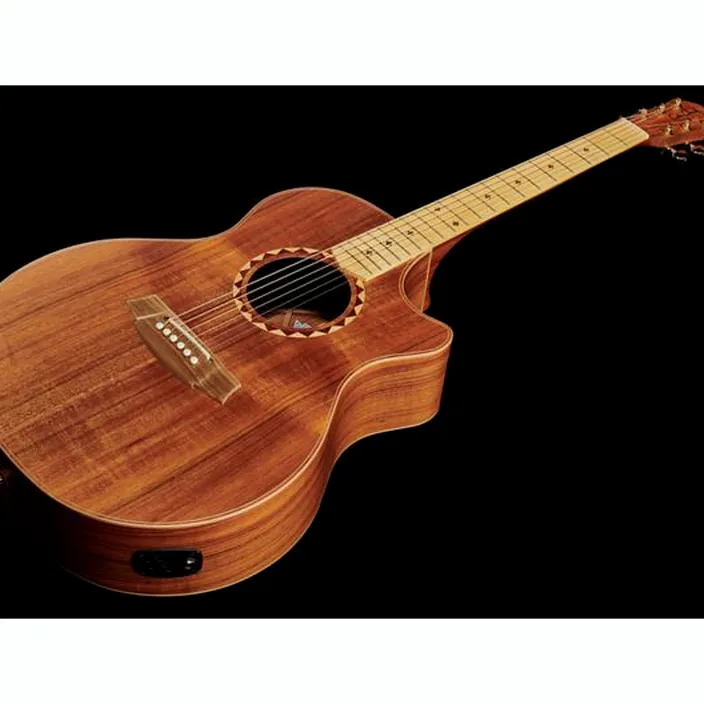 Guitare folk Cole Clark AN2EC-BLBL-SB Satin Box Fretb. - Avis, Test & Comparatif