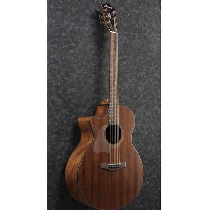 La guitare folk Ibanez AE295L-LGS , Test, Avis, Comparatif