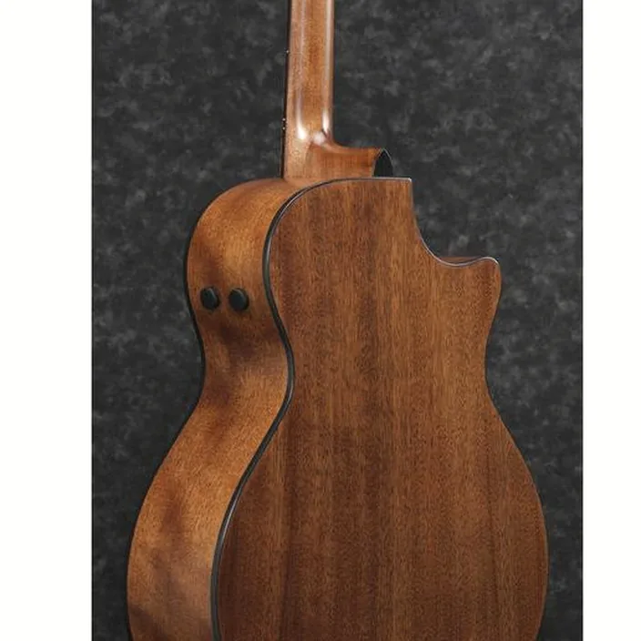 La guitare folk Ibanez AE295L-LGS , Test, Avis, Comparatif