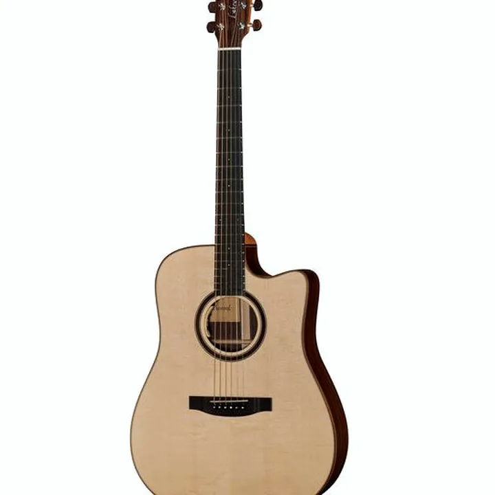 Guitare folk Lakewood D-31 CP