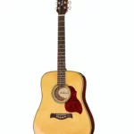 Guitare folk Richwood D-65-VA Master Series : Test, Comparatif et Avis
