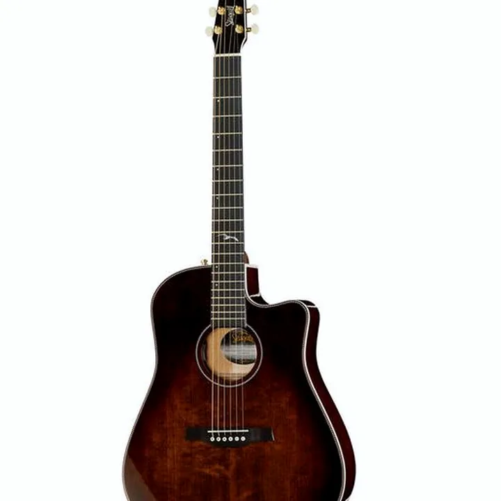 Guitare folk Seagull Artist Peppino Sign. CW BB Test, Avis et Comparatif