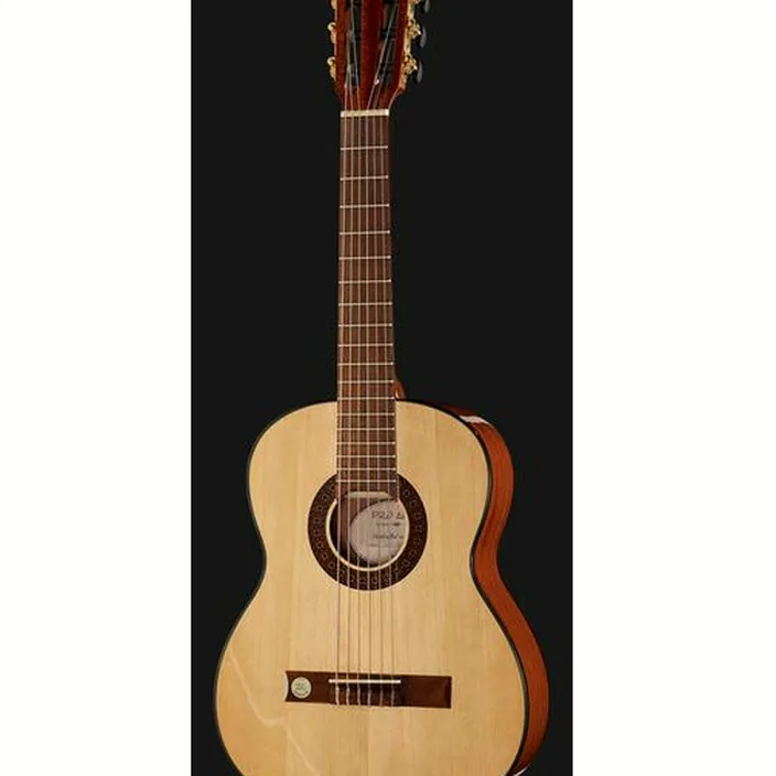 Et Avis Guitare Gewa Pro Arte GC50A