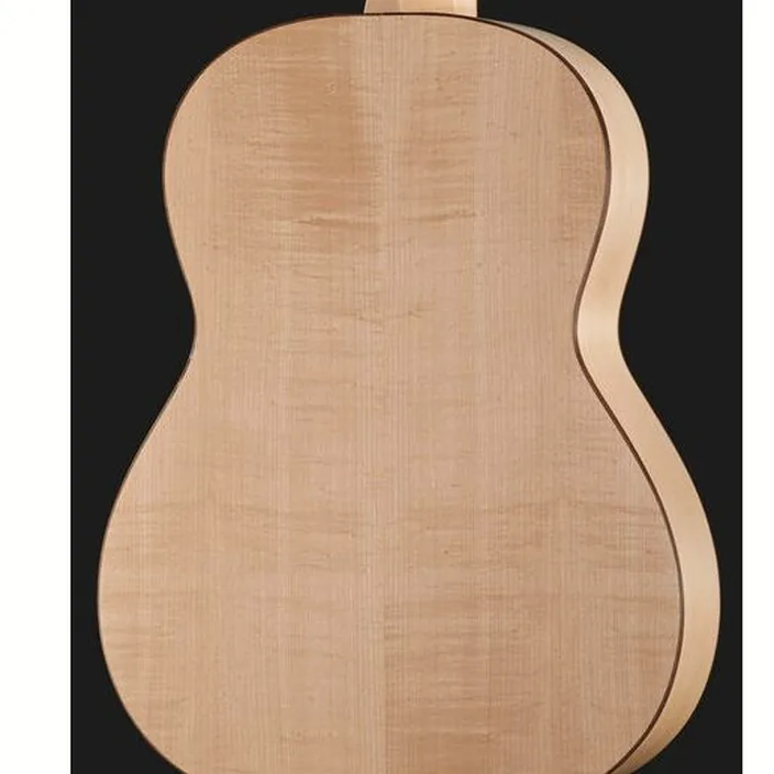 Guitare Gewa Pro Natura Silver 4/4 Maple