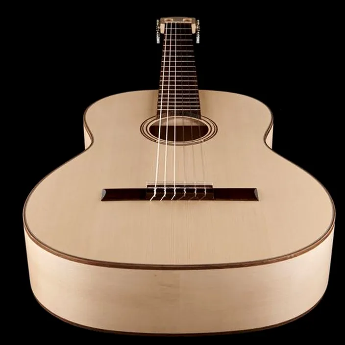 Guitare Gewa Pro Natura Silver 4/4 Maple