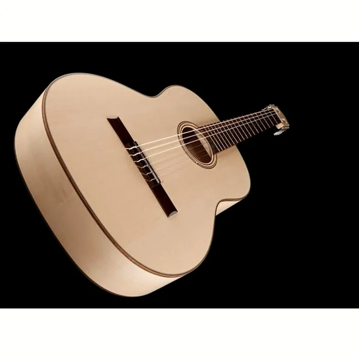 Guitare Gewa Pro Natura Silver 4/4 Maple