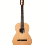 Test et Avis de la guitare Godin Presentation