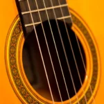 Quelles sont les principales marques de guitares ?
