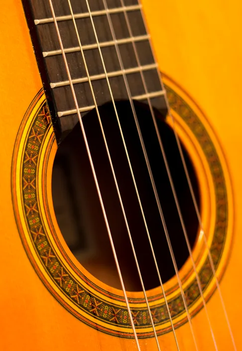Quelles sont les principales marques de guitares ?