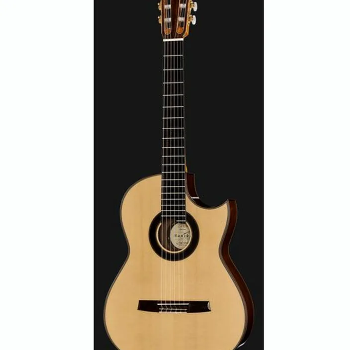 Guitare Hanika CutPro PF + Pickup System Avis & Test