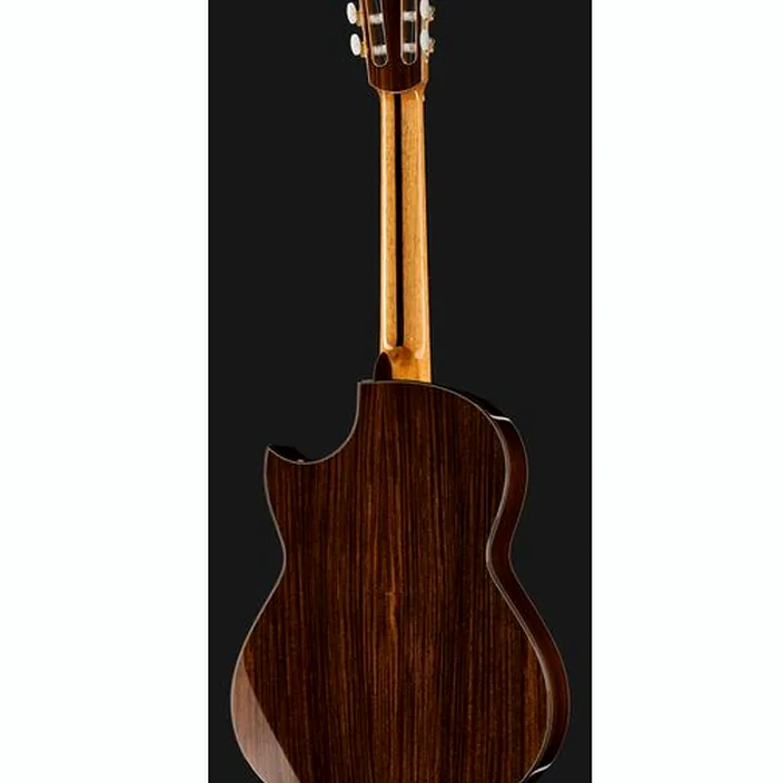 Guitare Hanika CutPro PF + Pickup System Avis & Test