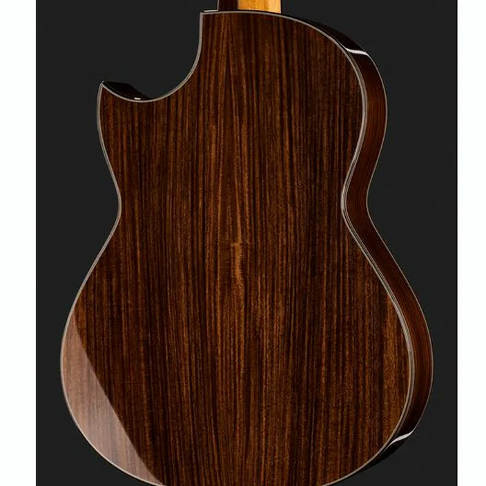 Guitare Hanika CutPro PF + Pickup System Avis & Test