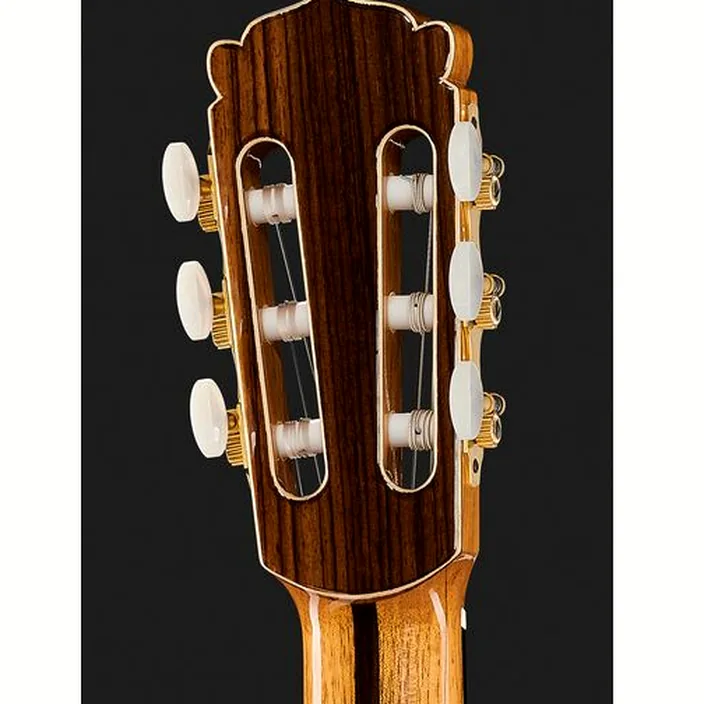 Guitare Hanika CutPro PF + Pickup System Avis & Test