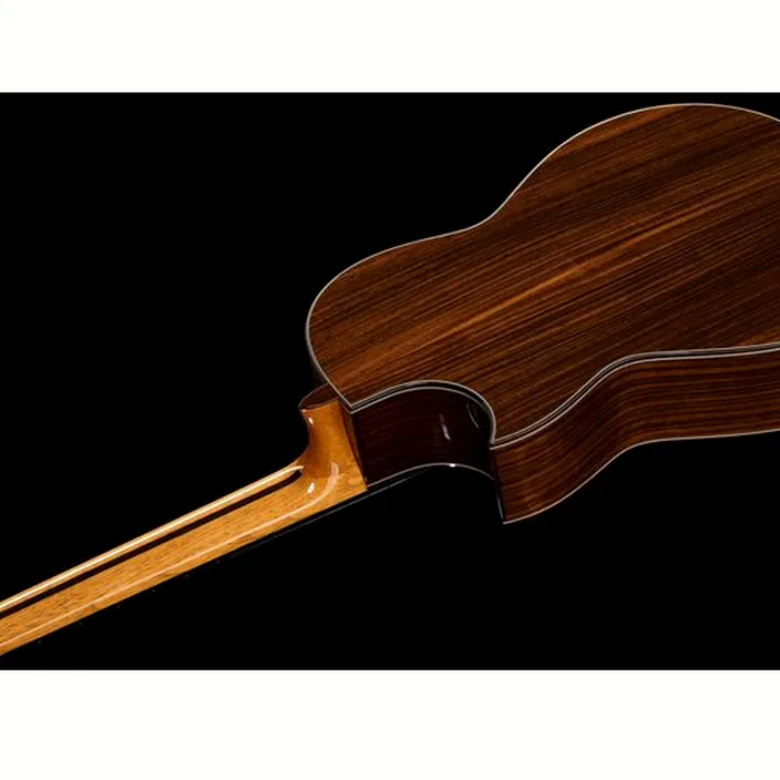Guitare Hanika CutPro PF + Pickup System Avis & Test