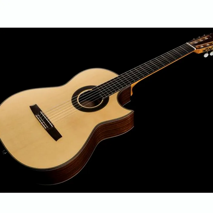 Guitare Hanika CutPro PF + Pickup System Avis & Test