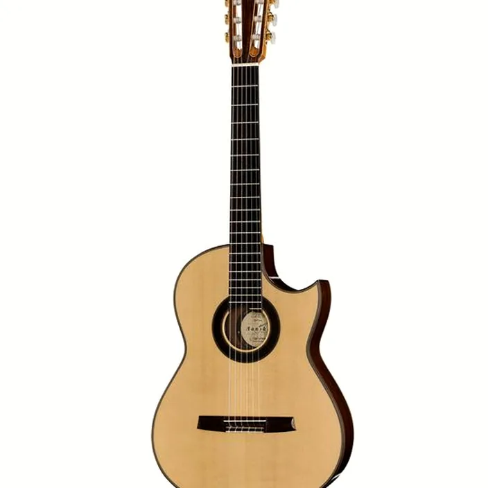 Guitare Hanika CutPro PF + Pickup System