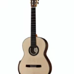 Test & Avis de la guitare Hanika New Century Lattice