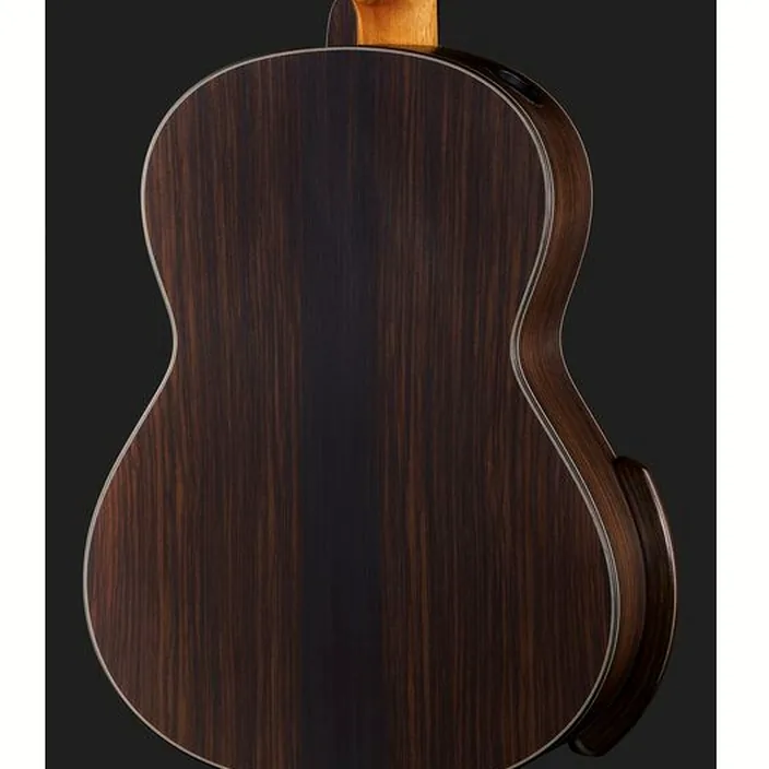 Guitare Hanika New Century Lattice