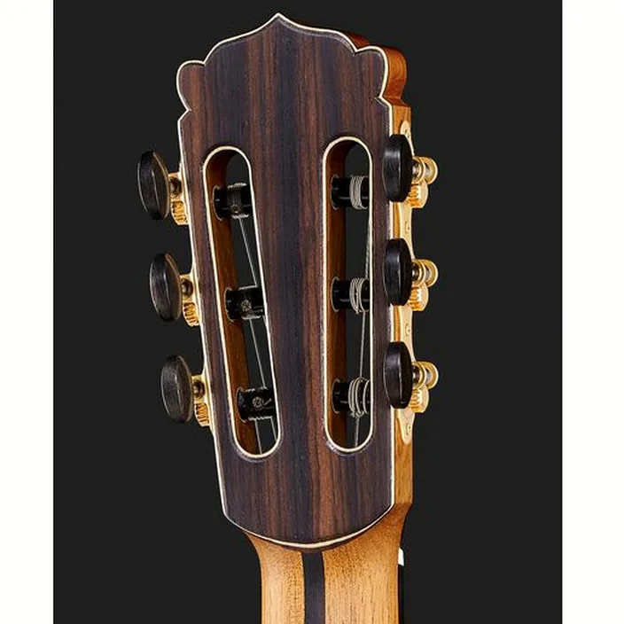 Guitare Hanika New Century Lattice
