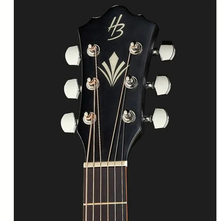 Guitare Harley Benton HB Custom Line CLD-10S BKS , Comparatif, Avis, Test