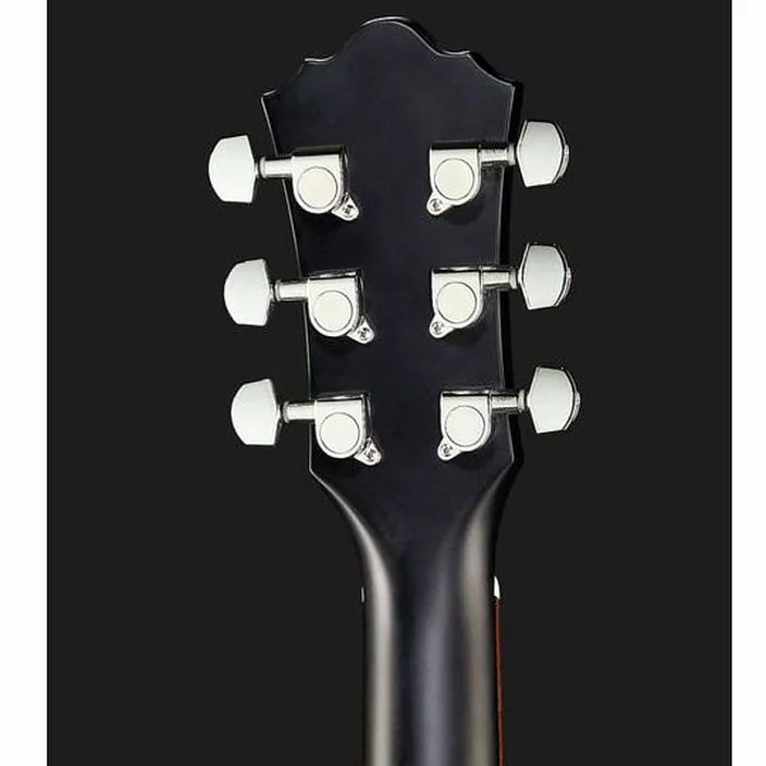 Guitare Harley Benton HB Custom Line CLD-10S BKS , Comparatif, Avis, Test