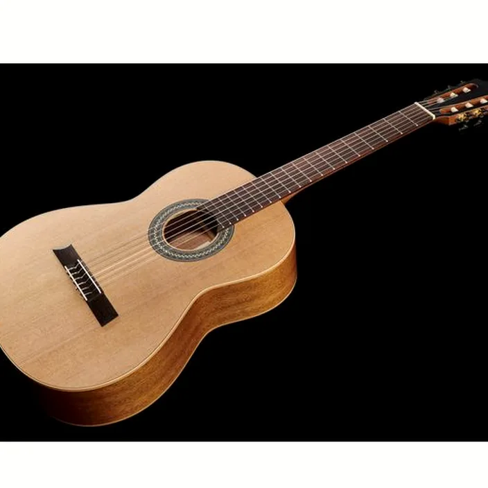 La guitare Höfner HM65-Z / Avis, Comparatif, Test