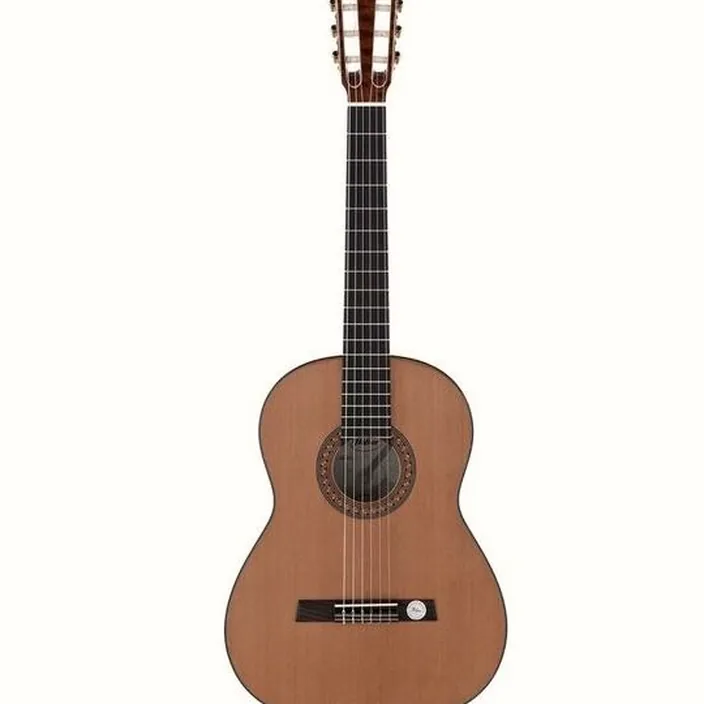 Et Test de la guitare Höfner HZ25