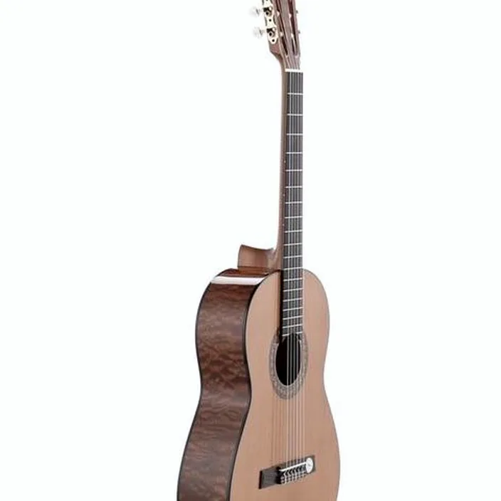 Et Test de la guitare Höfner HZ25