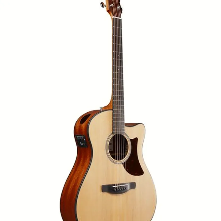 Guitare Ibanez AAM50CE-OPN – Comparatif, Avis, Test