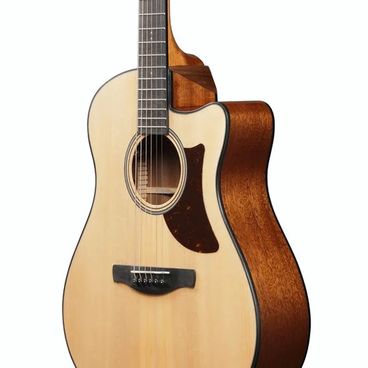 Guitare Ibanez AAM50CE-OPN – Comparatif, Avis, Test