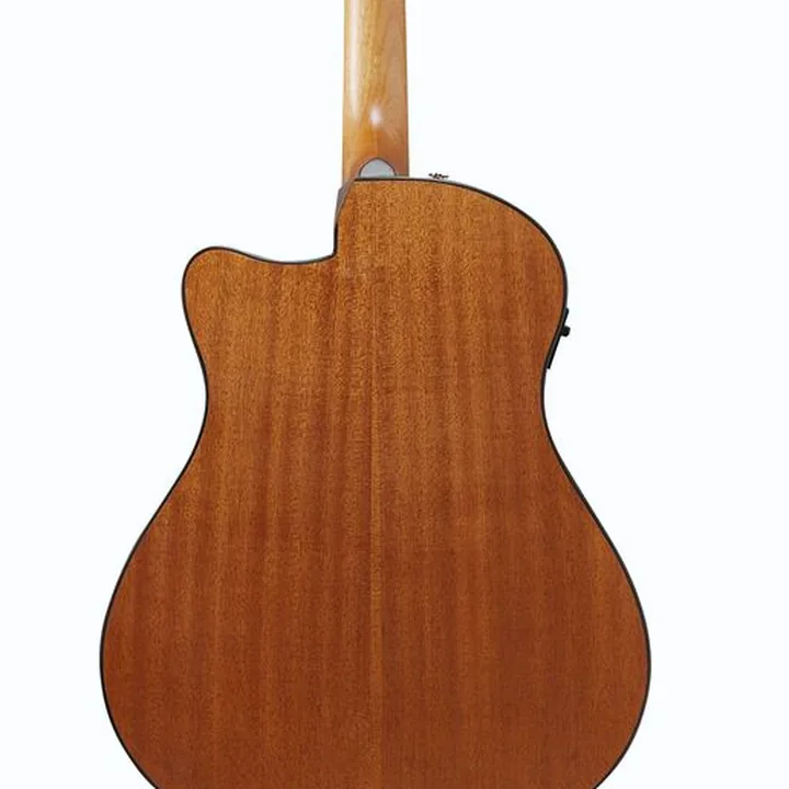 Guitare Ibanez AAM50CE-OPN – Comparatif, Avis, Test