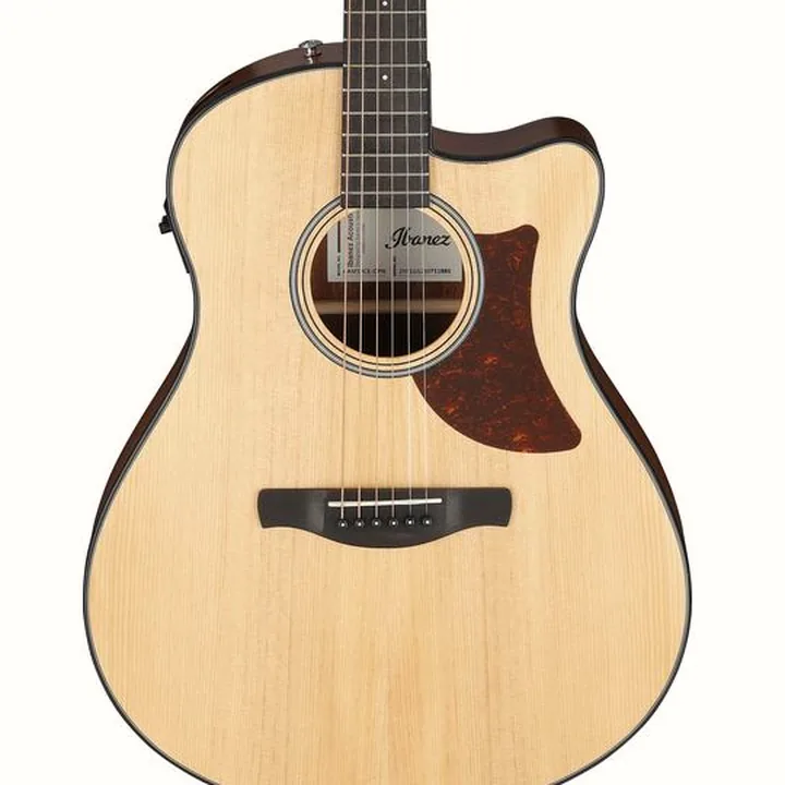 Guitare Ibanez AAM50CE-OPN – Comparatif, Avis, Test